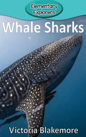 Whale Sharks