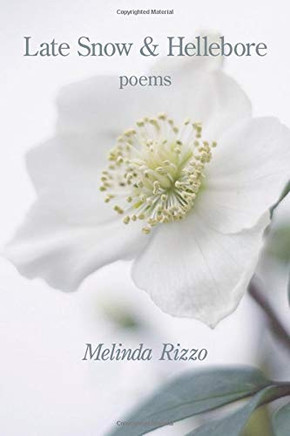 Late Snow and Hellebore