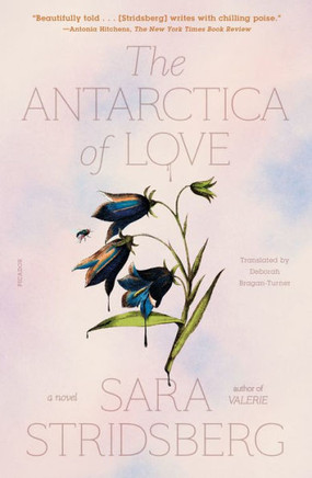 Antarctica Of Love