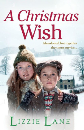 A Christmas Wish - 9781804159248