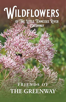 Wildflowers Of The Little Tennessee River Greenway