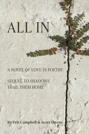 All In: A Novel Of Love In Poetry - 9781959346128
