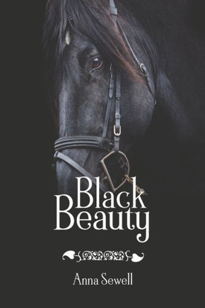 Black Beauty - 9781434105028