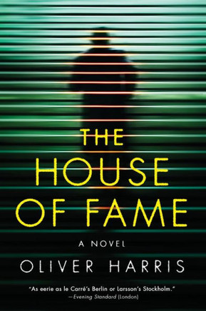 Hse Fame (Detective Nick Belsey Series, 3)