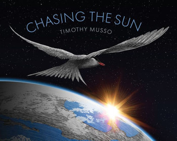 Chasing The Sun - 9781568463896