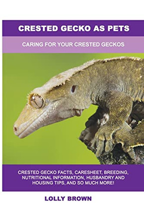 Crested Gecko As Pets : Caring For Your Crested Geckos
