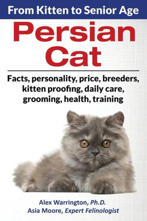 Persian Cat : From Kitten To Senior Age