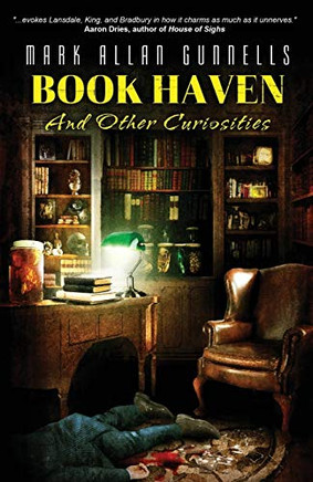 Book Haven: And Other Curiosities
