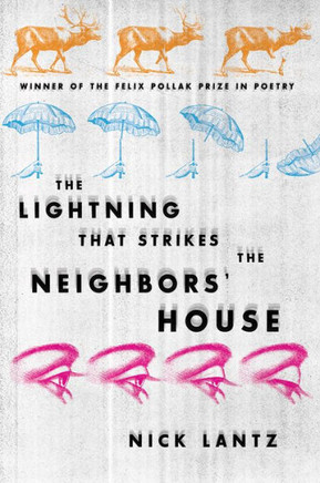 The Lightning That Strikes The Neighbors? House (Wisconsin Poetry Series)