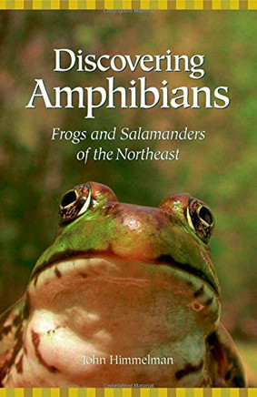 Discovering Amphibians: Frogs And Salamanders Of The Northeast