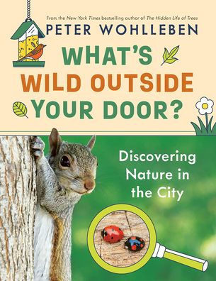 What's Wild Outside Your Door?: Discovering Nature In The City