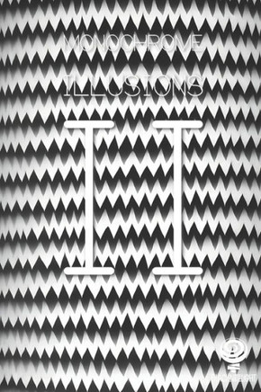 Monochrome Illusions II