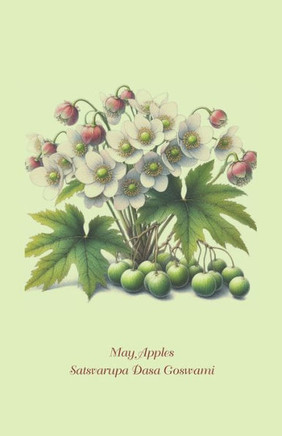 May Apples: Writing Sessions May 5-May 13, 1996