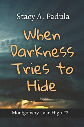 When Darkness Tries to Hide - 9781735016856