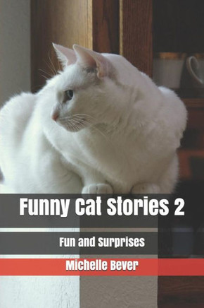 Funny Cat Stories 2: Fun and Surprises