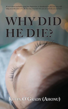 Why Did He Die?: If you've been touched by grief, loss, depression, or abandonment, this true story will help you make sense of it all.