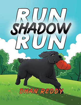 Run Shadow Run - 9781952874048