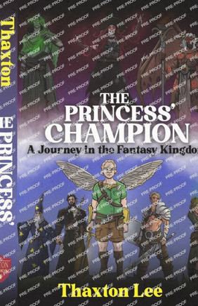 The Princess' Champion: A Journey in the Fantasy Kingdom