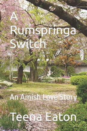 A Rumspringa Switch: An Amish Love Story