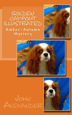 Golden Campout Illustrated: Amber-Autumn Mystery