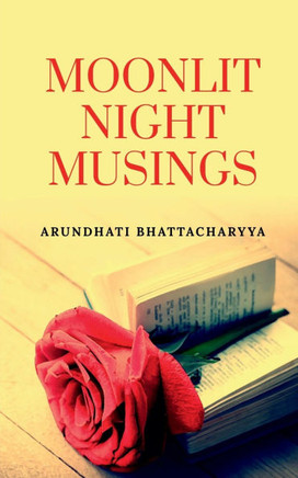Moonlit Night Musings