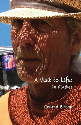 A Visit to Life: 24 Flashes