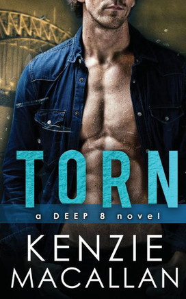 Torn: a Romantic Suspense novel