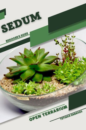 Sedum: Open terrarium, Beginner's Guide