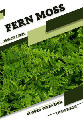 Fern Moss: Closed terrarium, Beginner's Guide