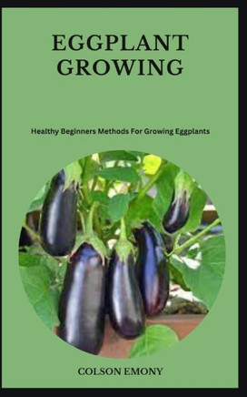 Eggplant Growing: Healthy Beginners Methods For Growing Eggplants