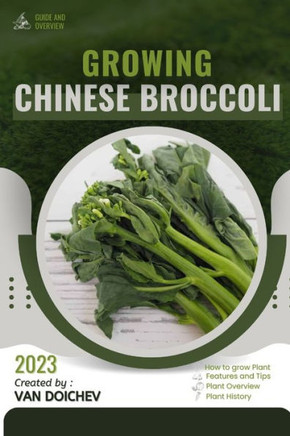 Chinese Broccoli: Guide and overview