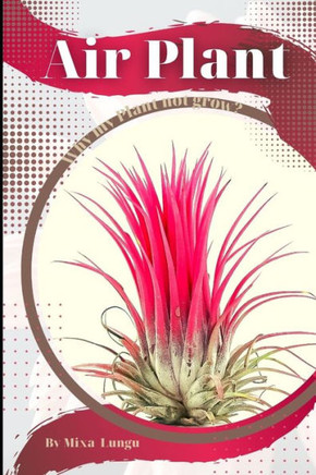 Air Plant: Why my Plant not grow? problems and their solutions