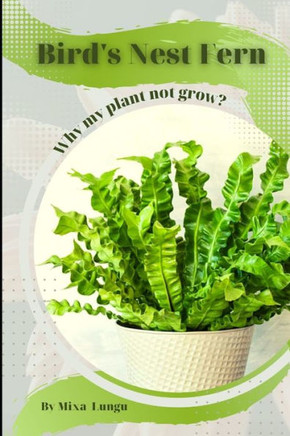 Bird's Nest Fern: Why my Plant not grow? problems and their solutions