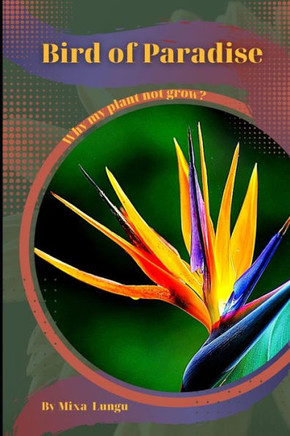 Bird of Paradise: Why my Plant not grow? problems and their solutions
