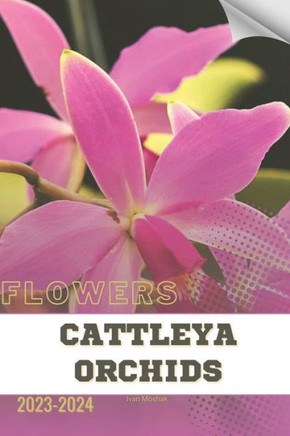 Cattleya Orchids: Become flowers expert