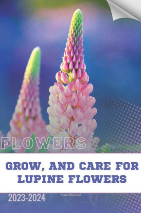 Grow, and Care For Lupine Flowers: Become flowers expert