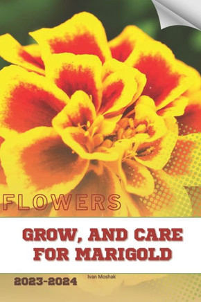Grow, and Care For Marigold: Become flowers expert