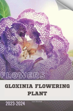 Gloxinia Flowering Plant: Become flowers expert