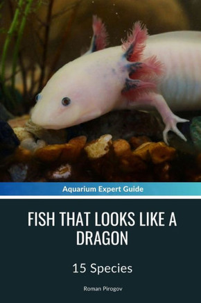 Fish That Looks Like A Dragon: 15 Species