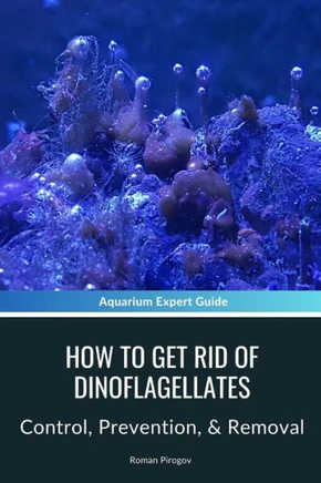 How To Get Rid Of Dinoflagellates: Control, Prevention, & Removal