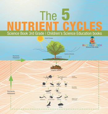 The 5 Nutrient Cycles - Science Book 3rd Grade Children's Science Education books