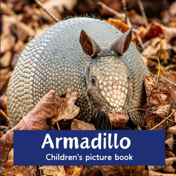 Armadillo: Children's picture book