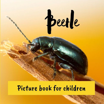 Beetle: Picture book for children