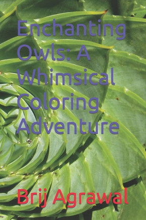 Enchanting Owls: A Whimsical Coloring Adventure