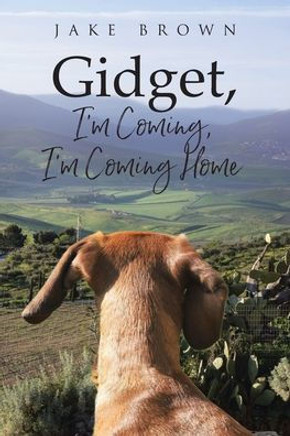 Gidget, I'm Coming, I'm Coming Home