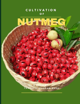 All About Nutmeg