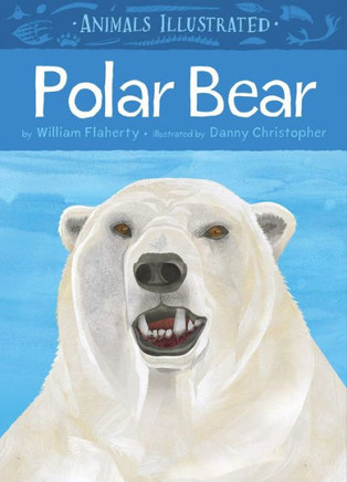 Animals Illustrated: Polar Bear (Animals Illustrated, 1)