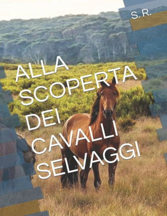 Alla Scoperta Dei Cavalli Selvaggi