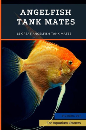 Angelfish tank mates: 15 Great Angelfish Tank Mates