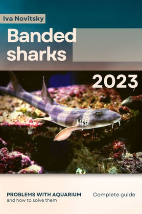 Banded sharks: Problems with aquarium and how to solve them